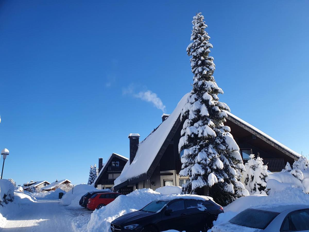 Ferienhaus-Schoenwald Im Herzen Des Schwarzwaldes 2-Zimmer-Maisonette-Wohnung Mit Balkon App 12 Eksteriør billede
